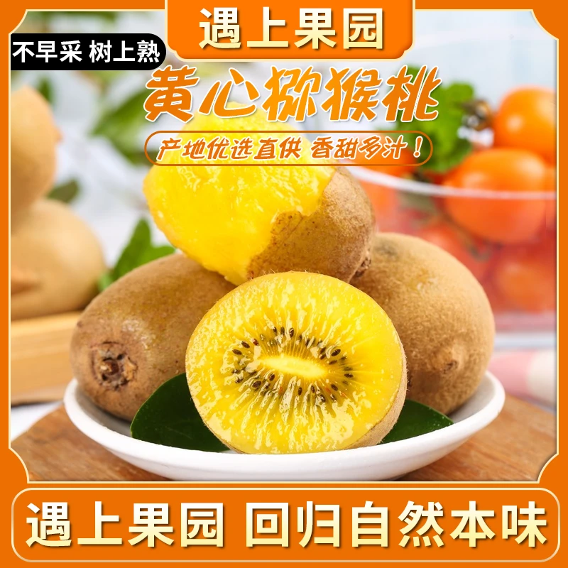 遇上果园【A级果】正宗蒲江黄心猕猴桃营养香甜奇异果新鲜孕妇水果