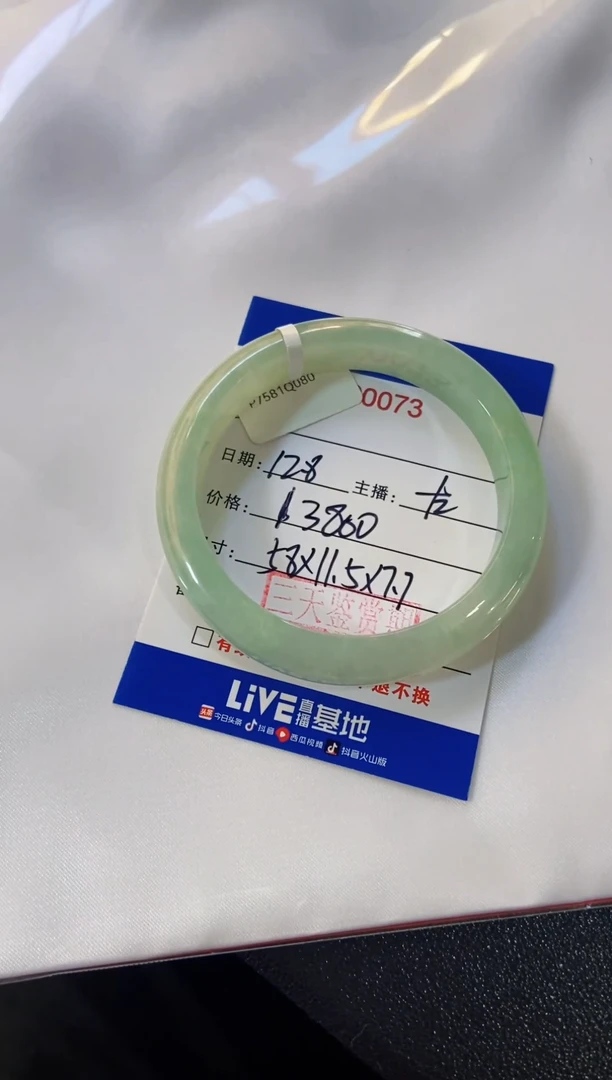 未镶嵌手镯翡翠12