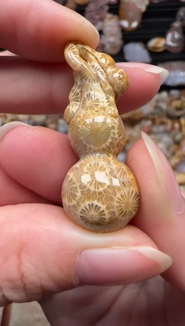 颈饰未镶嵌硅化珊瑚（珊瑚玉）230