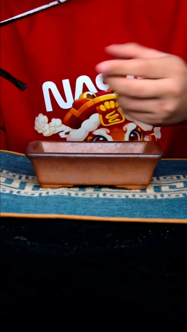 【闪购商品】紫砂花盆12.5*8.5*3内径紫砂花盆