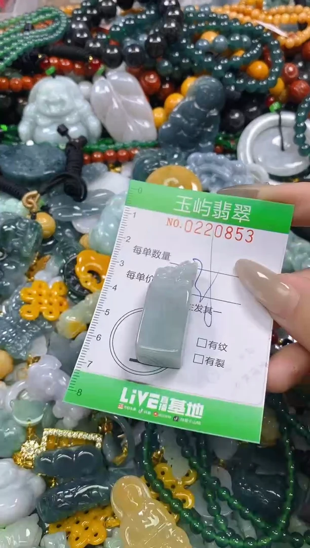 颈饰未镶嵌翡翠闪购0220853