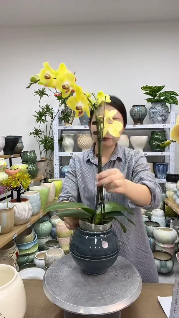 11.23陶瓷花盆直播链接高. 16     口10