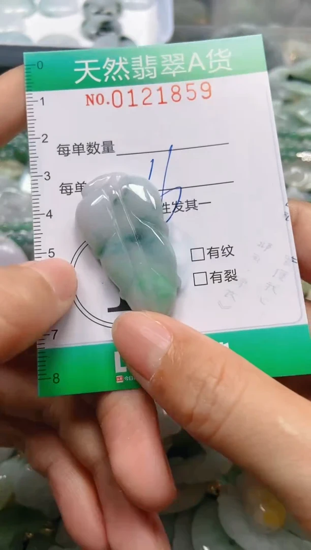 翡翠未镶嵌颈饰闪购0121859