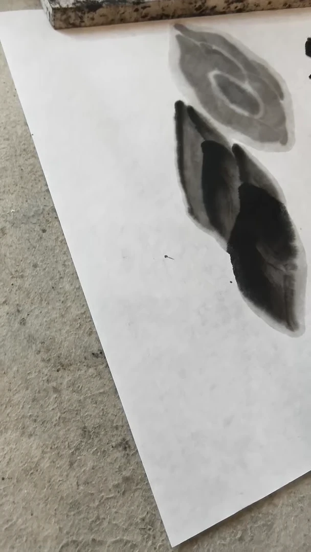 四尺单 特净 10张体验
