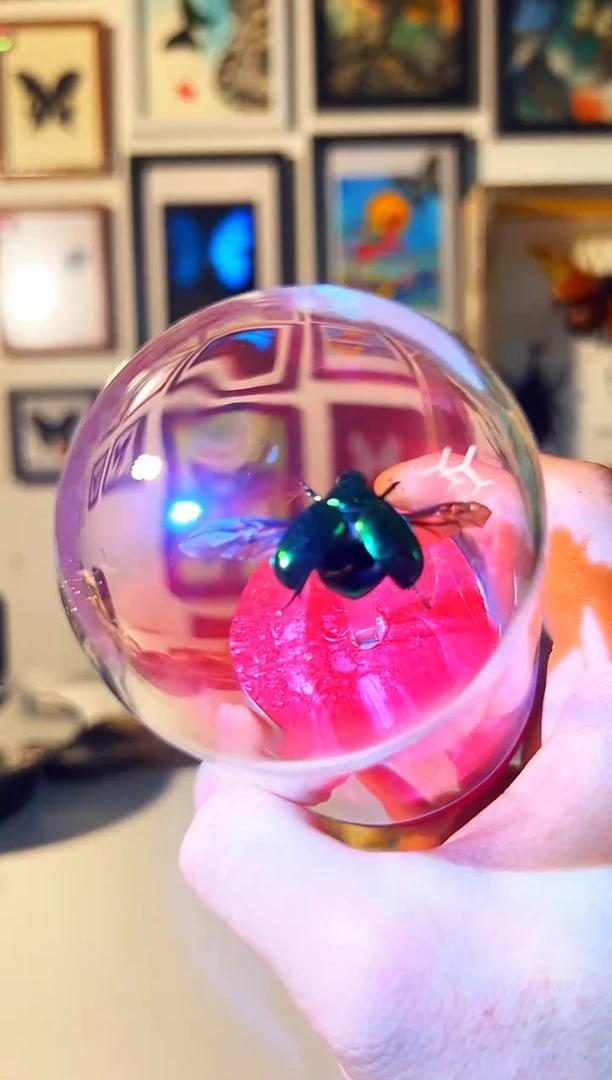 有机玻璃73783783837837