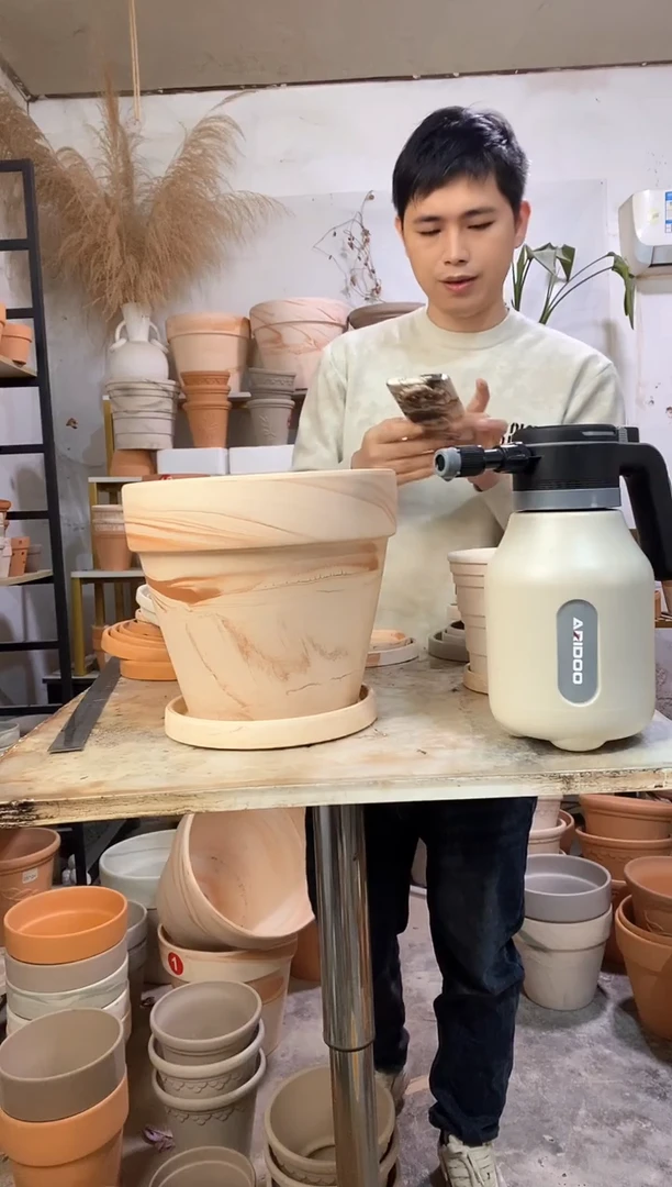 26*24玛奇朵 1盆1托