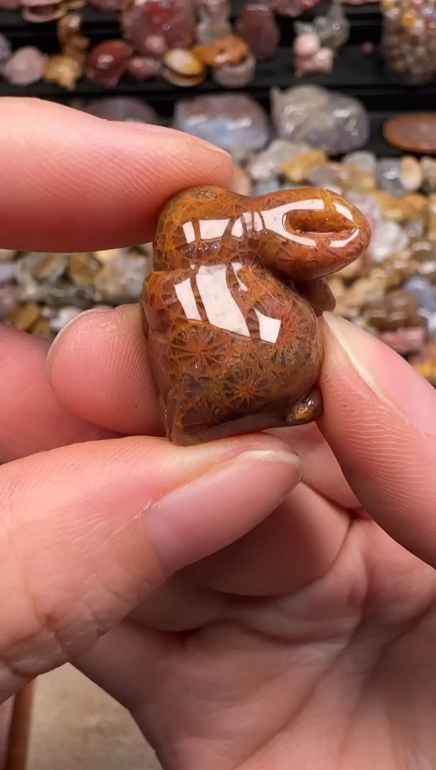 硅化珊瑚（珊瑚玉）未镶嵌颈饰737