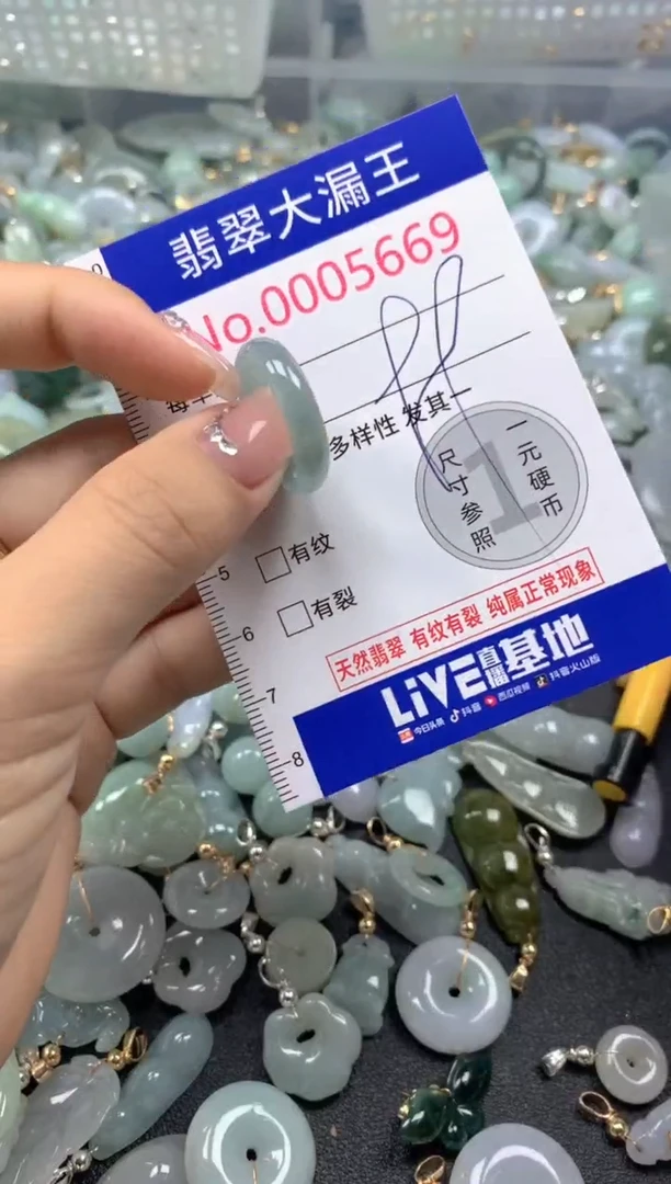 颈饰未镶嵌翡翠5669