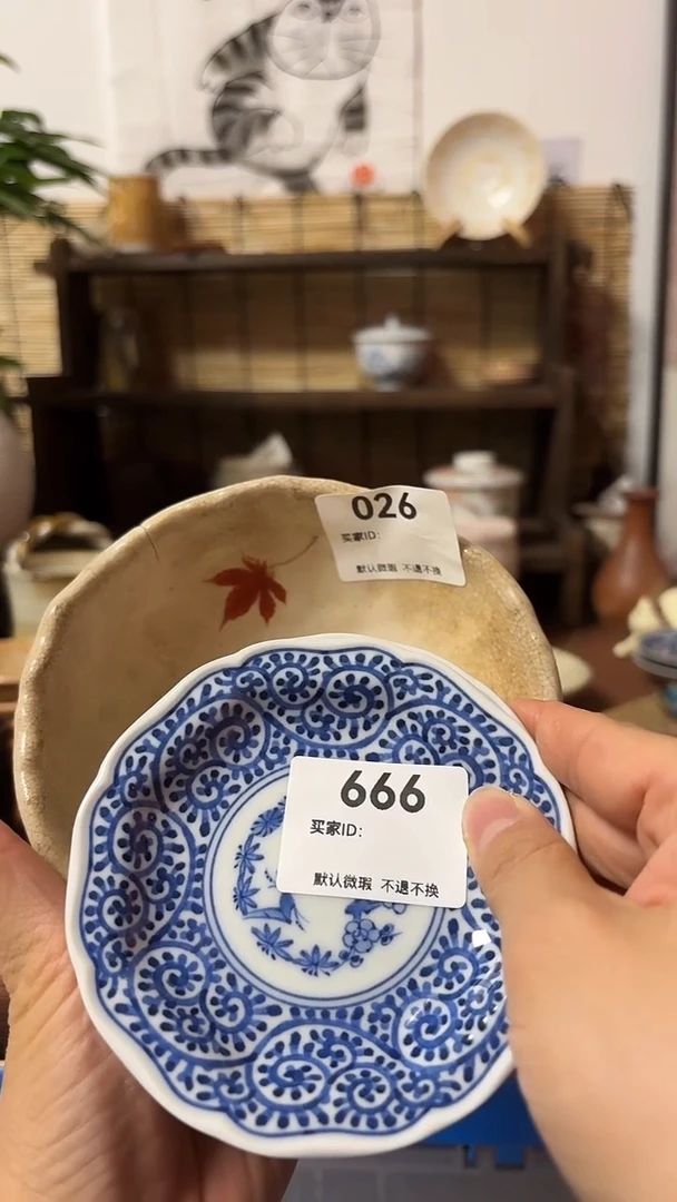 【闪购商品】瓷片喵喵日瓷都是大漂亮