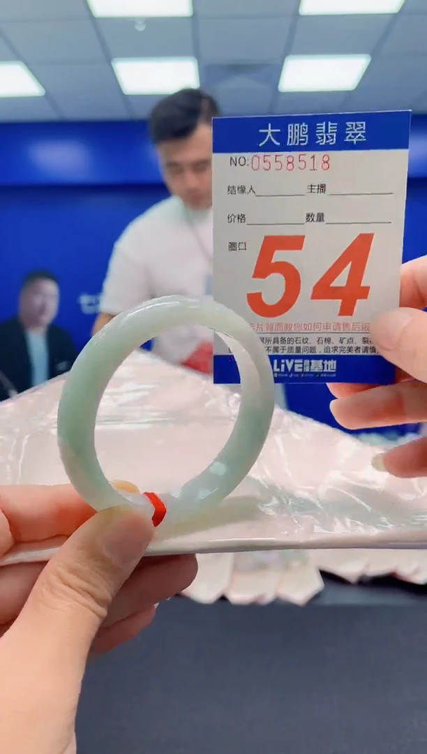 未镶嵌手镯翡翠AAAAAAAAA