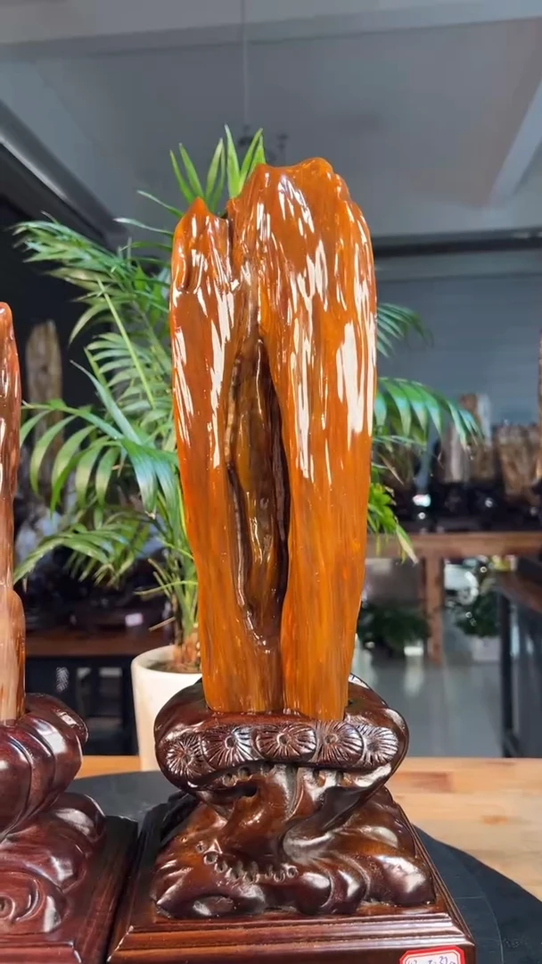 未镶嵌硅化玉（树化玉）珠宝奇石高*0388