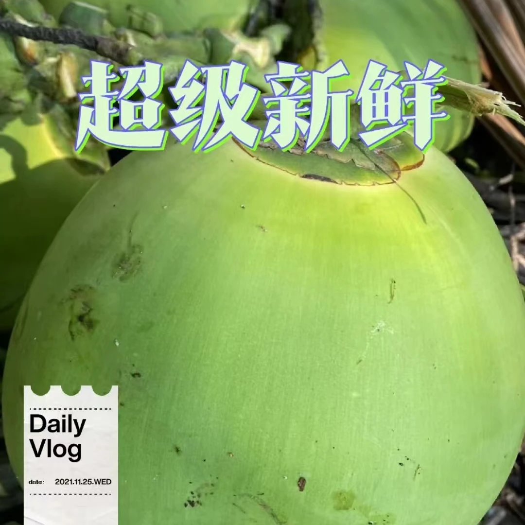 五个装/箱尊敬的各位用户请在下单前游览观看详情页。