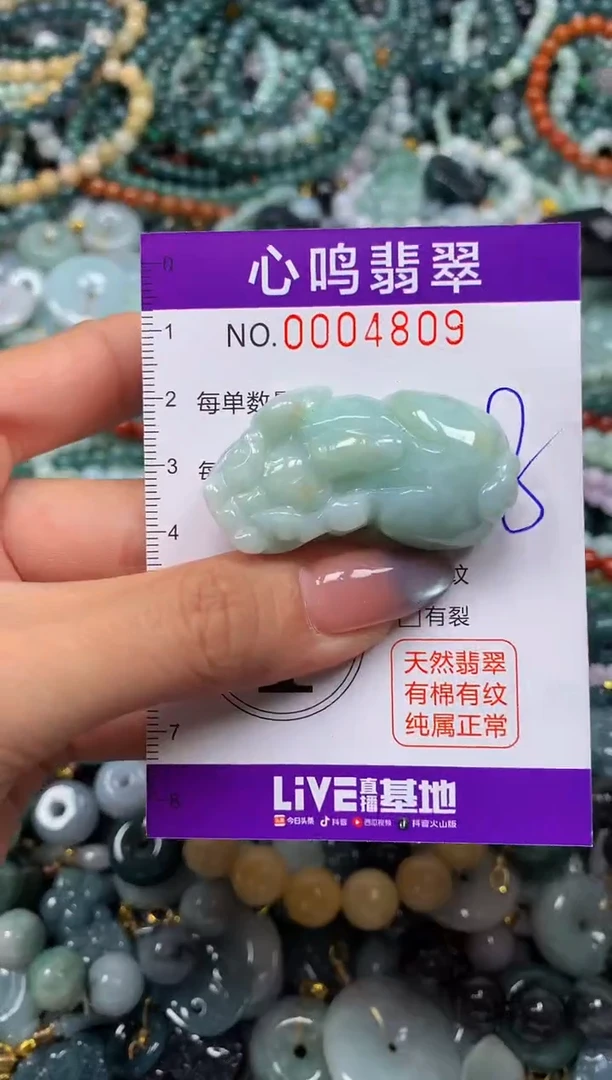 颈饰未镶嵌翡翠闪购004809