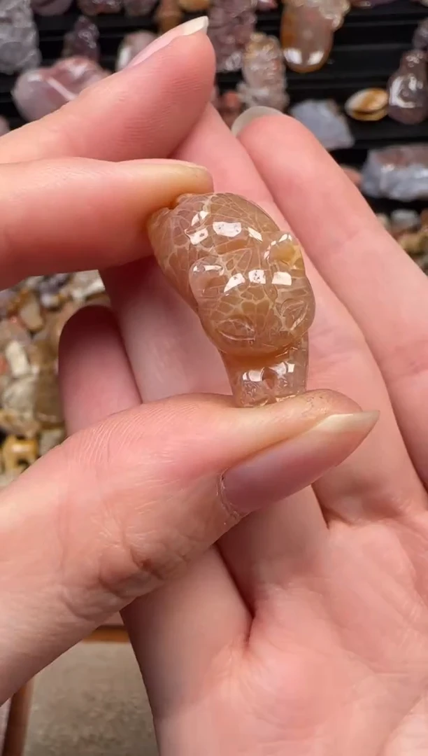 颈饰未镶嵌硅化珊瑚（珊瑚玉）215