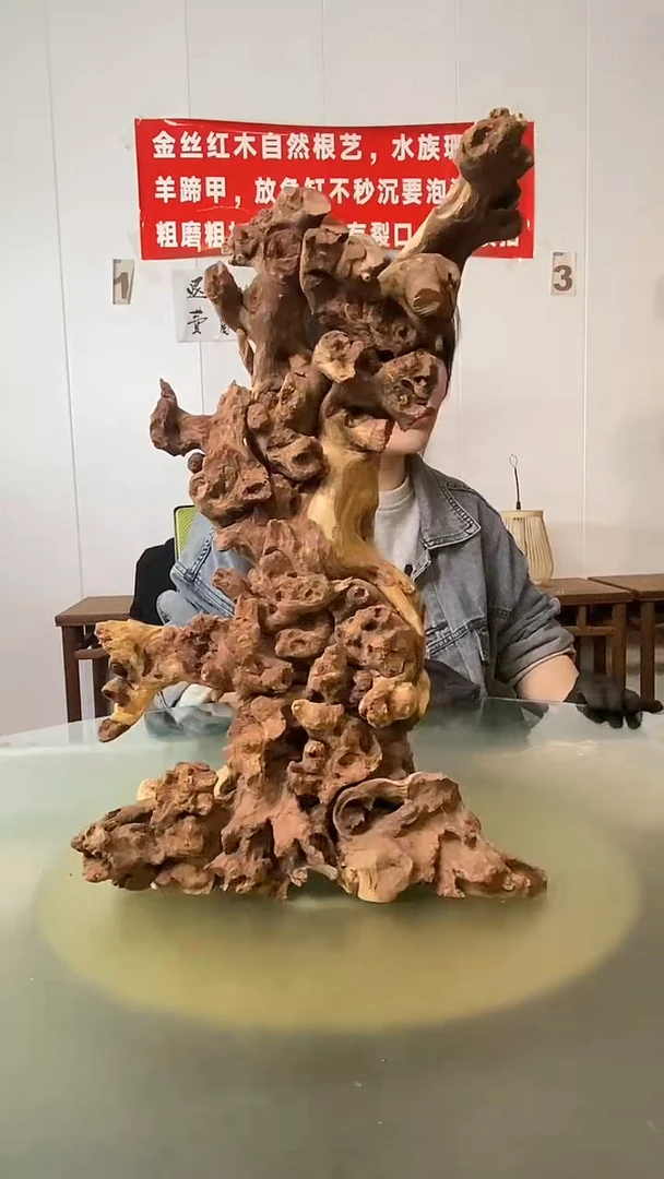 木新****馆金丝红木 羊蹄甲