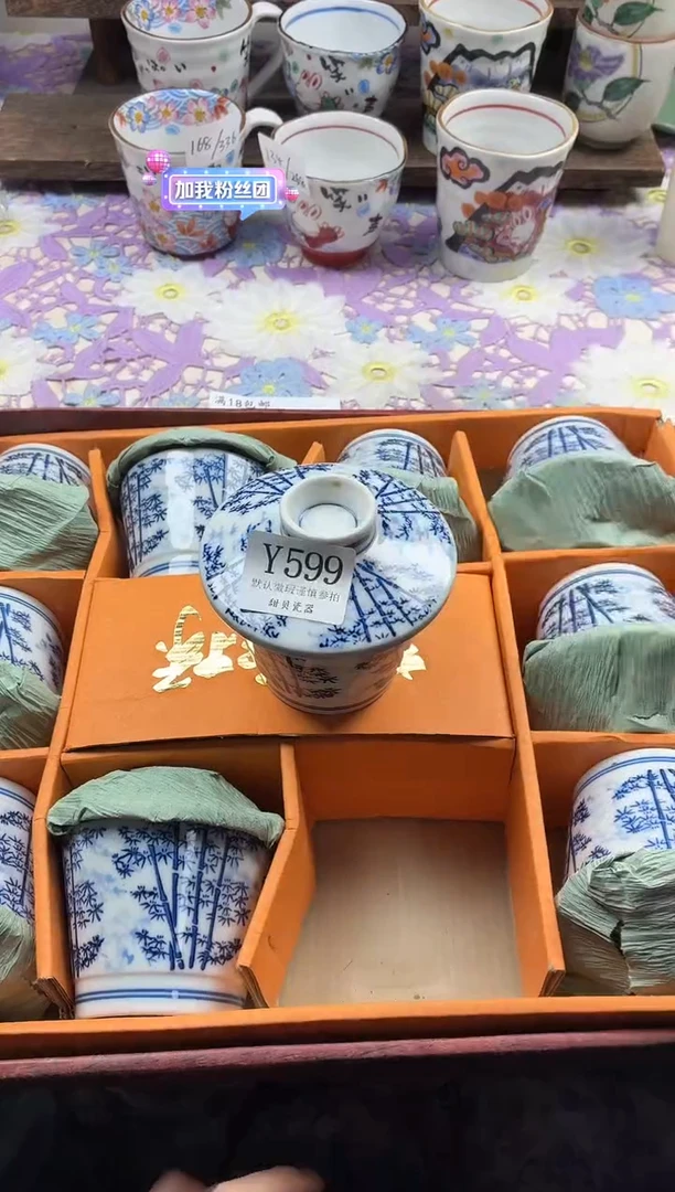 瓷片                     Y599