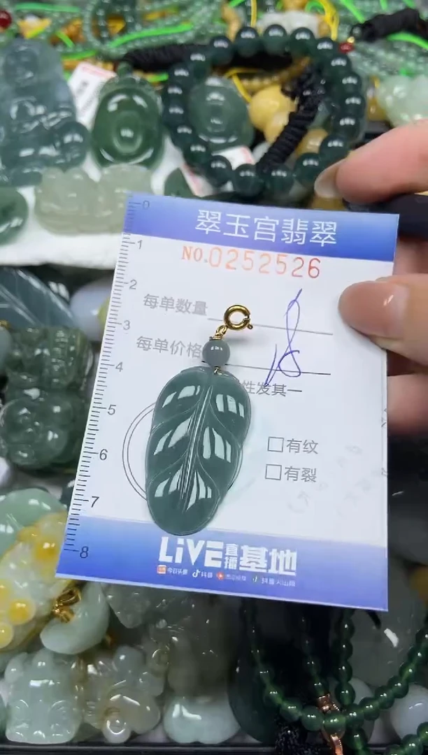 颈饰未镶嵌翡翠闪购C0252526