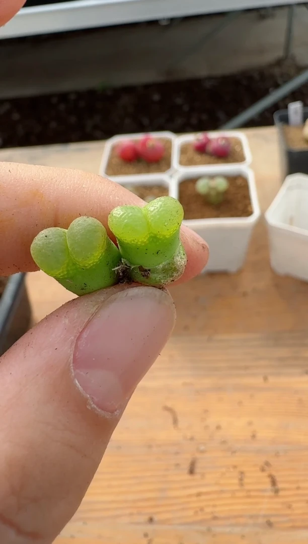 【闪购商品】17-72