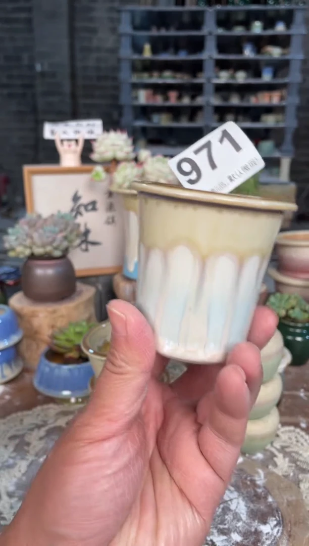 瓷片971小芳直播编号