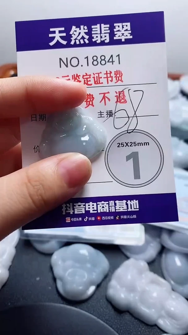 翡翠未镶嵌颈饰841