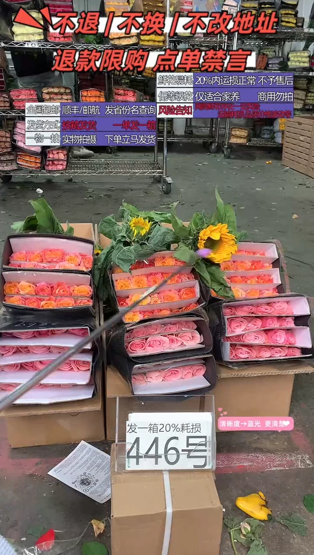 446号♥含20%耗损发一箱