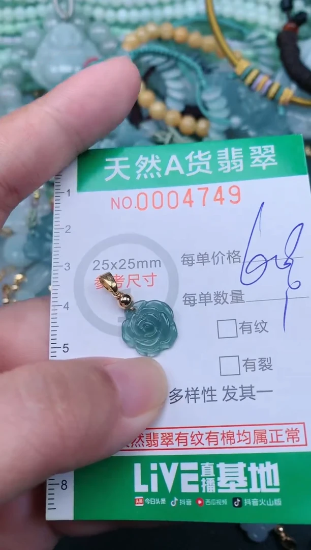 翡翠未镶嵌颈饰.0004749