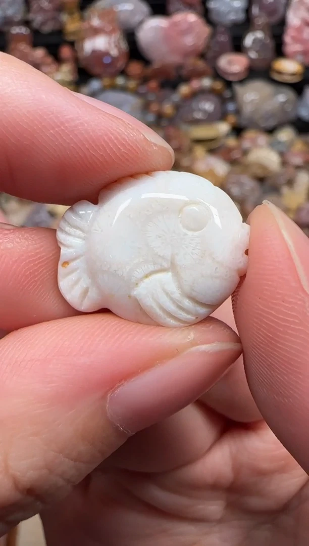 颈饰未镶嵌硅化珊瑚（珊瑚玉）308