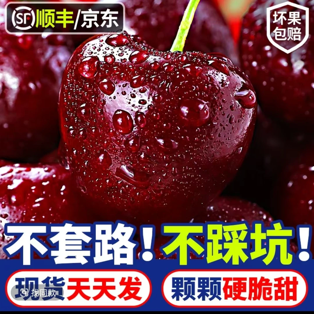 【顺丰京东】3JD/4JD智利进口桑提娜车厘子原箱净重800g应季水果脆甜内附果径卡海运桑提娜樱桃智利共和国