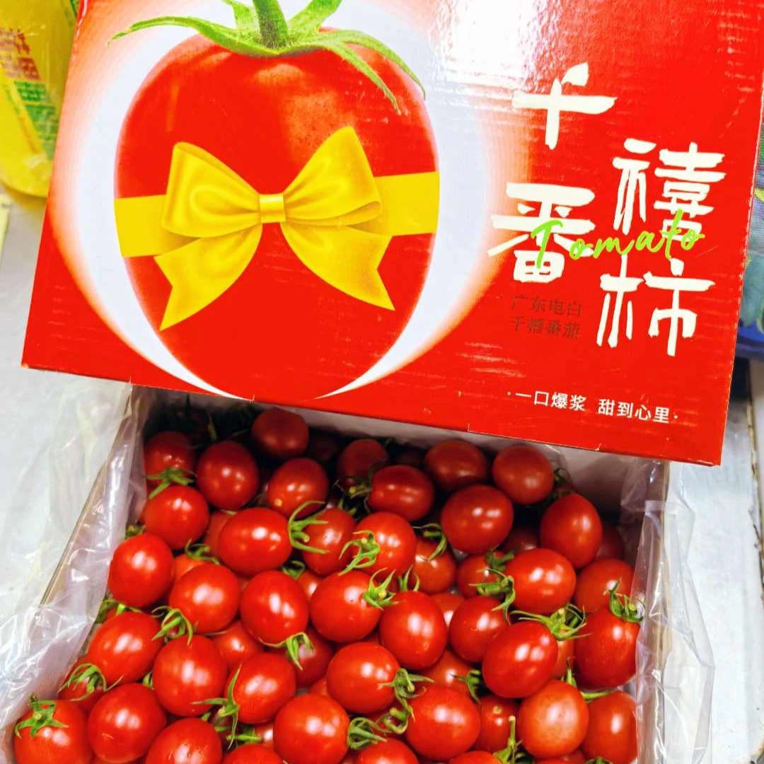 千禧柿子
