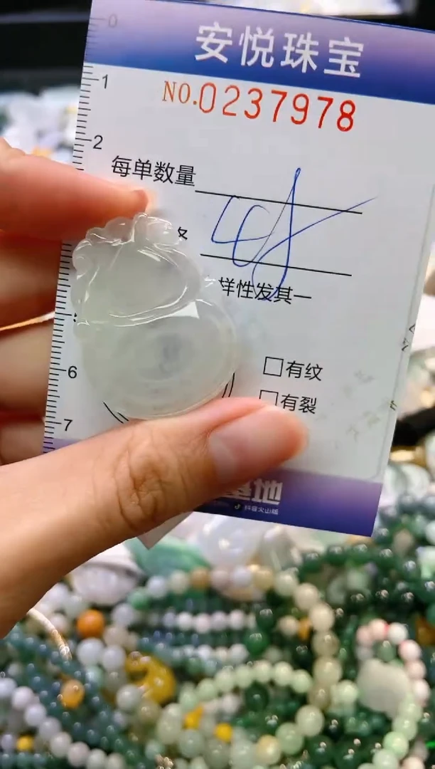 翡翠未镶嵌颈饰闪购0237978