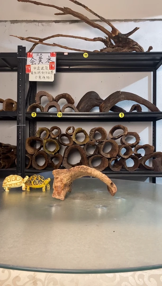 焦*?鱼缸爬宠造景素材193