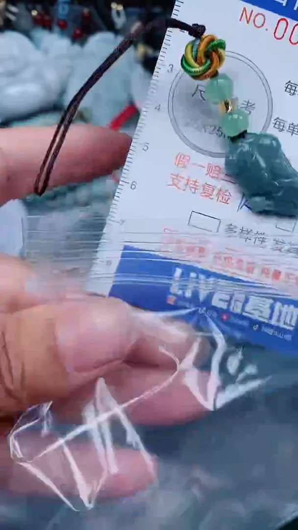 【闪购商品】翡翠颈饰未镶嵌...0005653