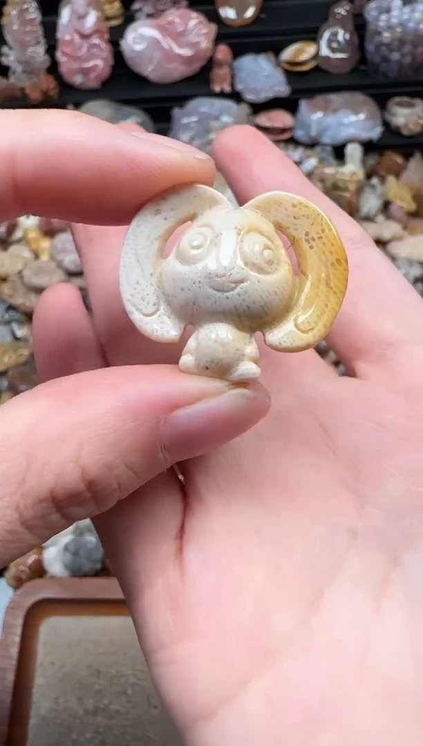 颈饰未镶嵌硅化珊瑚（珊瑚玉）847
