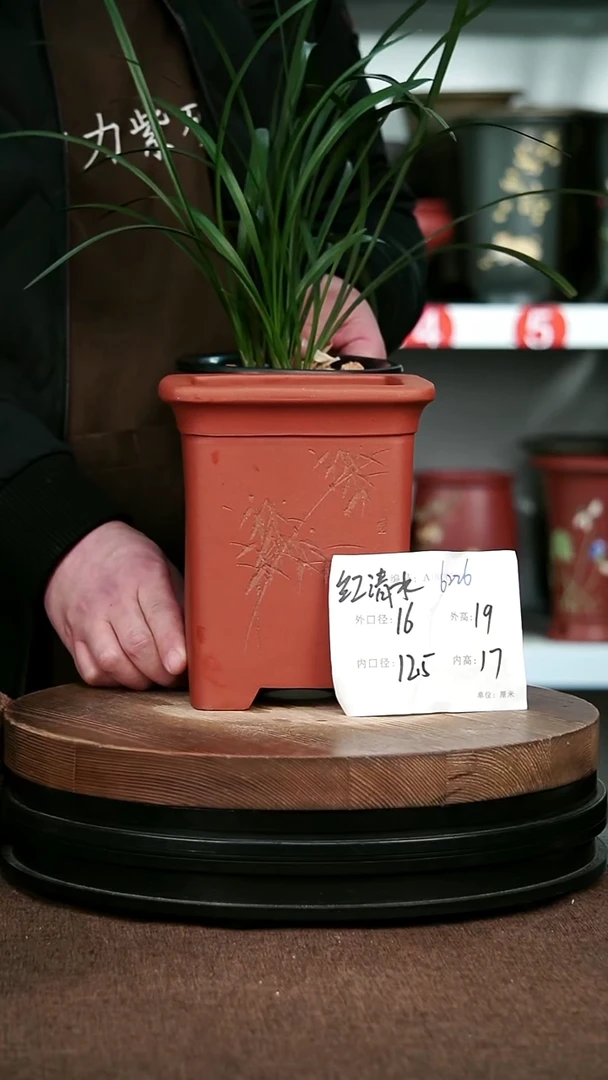 紫砂花盆花卉园艺6226