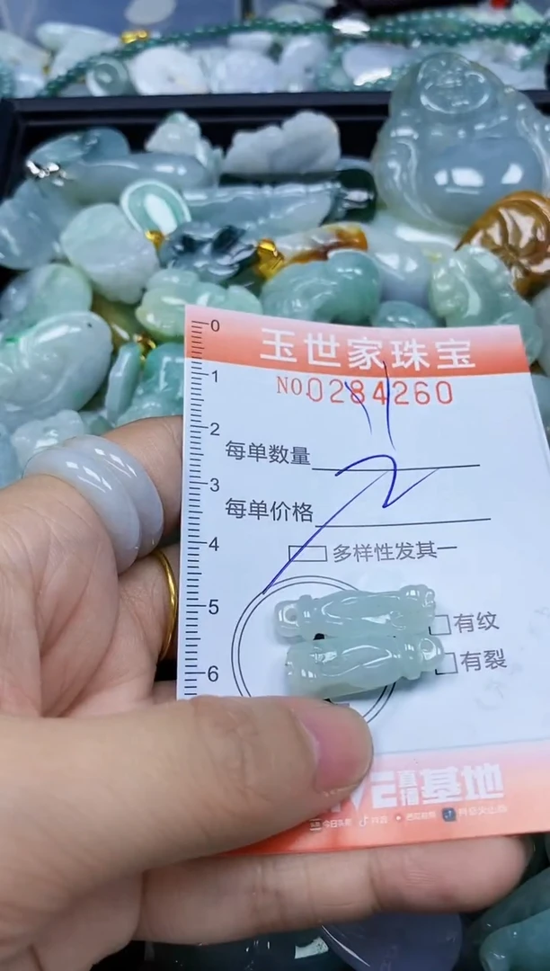 翡翠未镶嵌颈饰闪购0284260多样性发其一