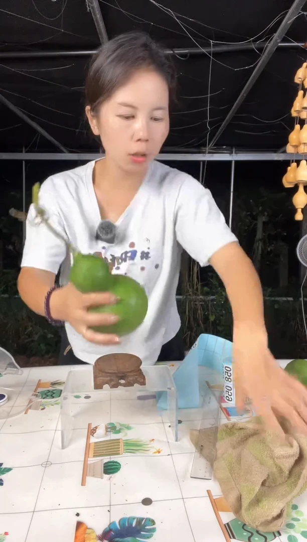 027天然葫芦摆件 一物一拍龙头不保售后