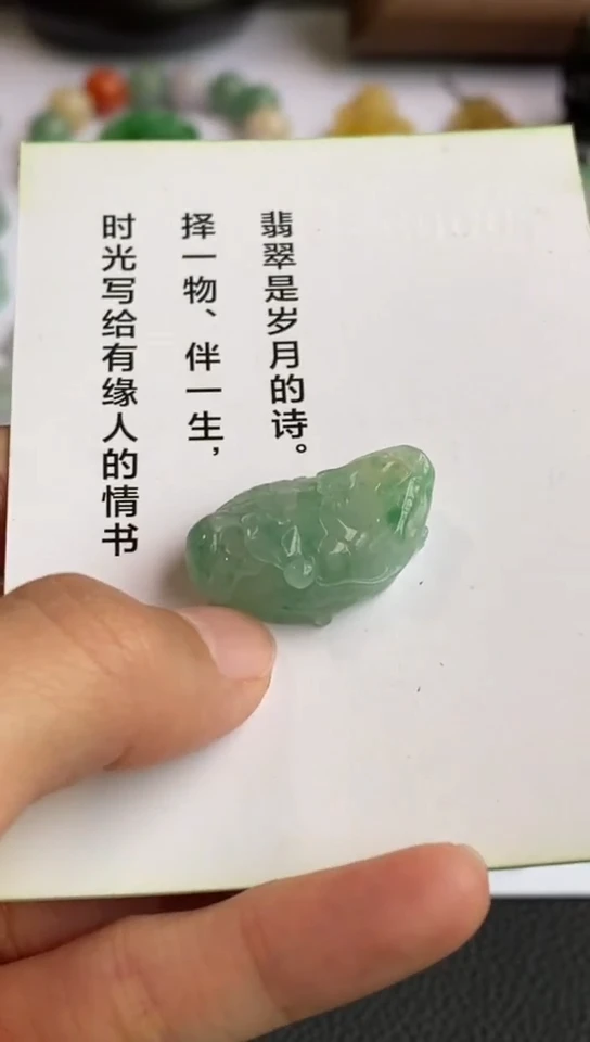 颈饰未镶嵌翡翠龙龟吊坠~