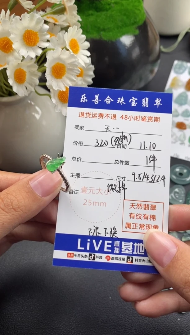 颈饰银S925镶嵌翡翠天***饱冰种裸石