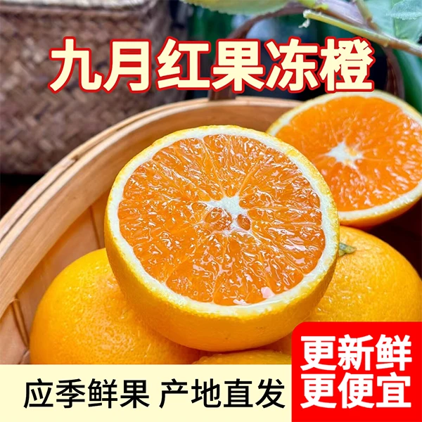 【产地直发】九月红果冻橙应季水果皮薄肉厚香甜爆汁