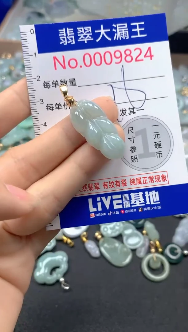 翡翠未镶嵌吊坠(不含链)9824