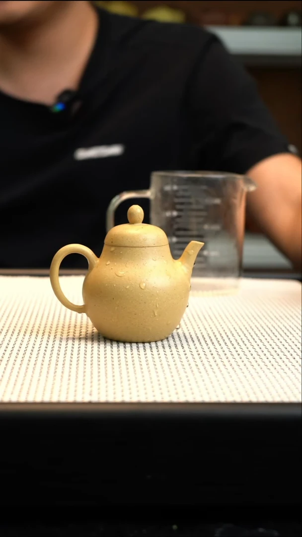 茶壶紫砂紫砂壶12