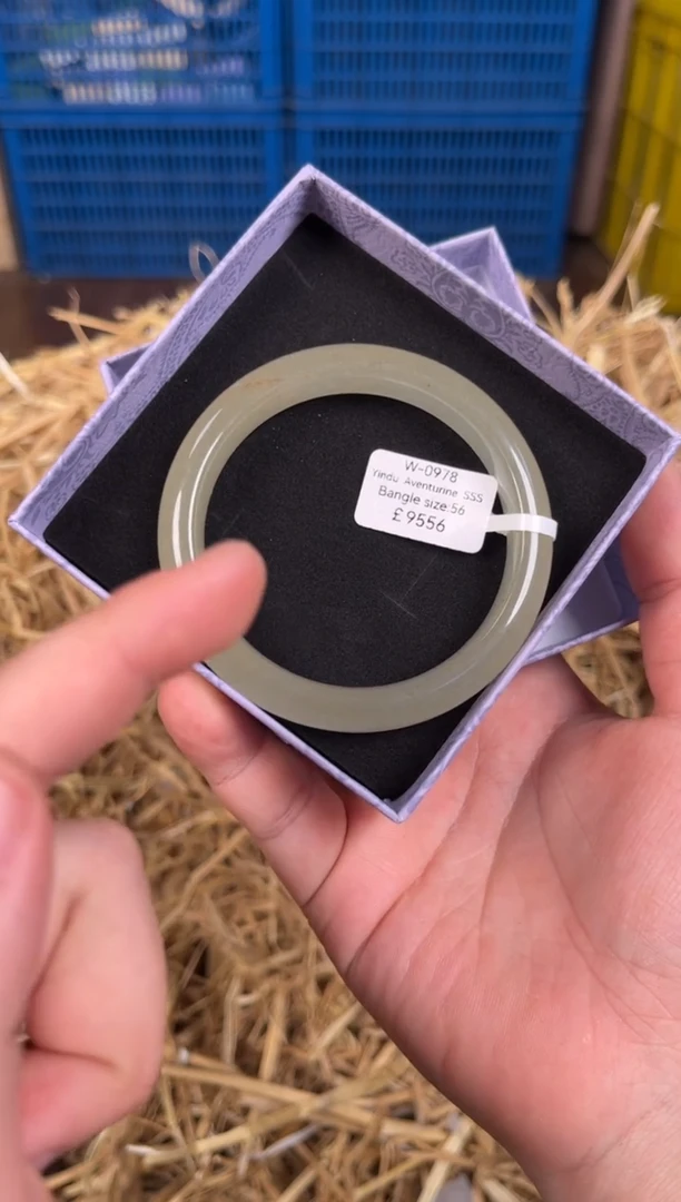 未镶嵌手镯石英质玉W0978