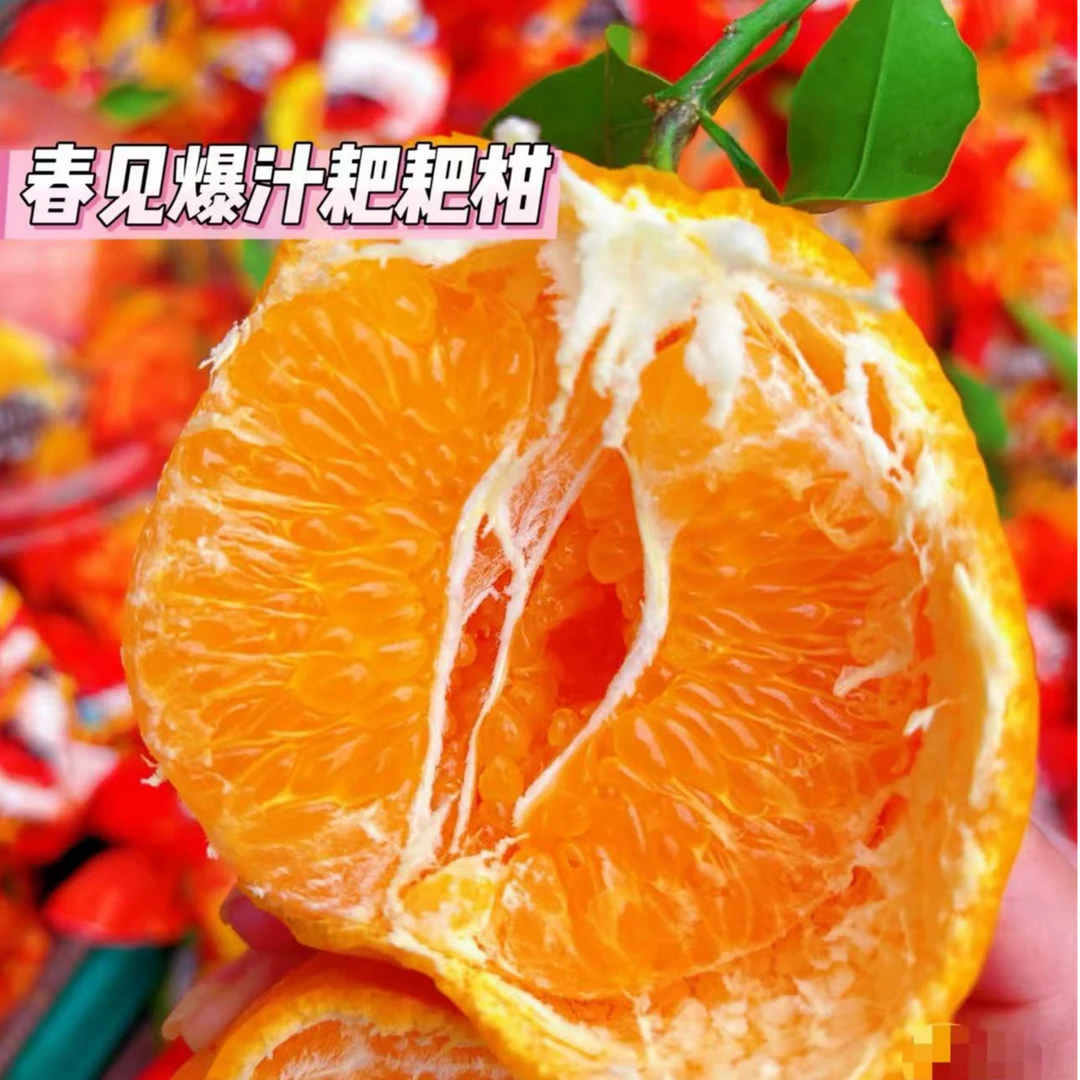 【顺丰包邮】耙耙柑框框6斤装浙江省