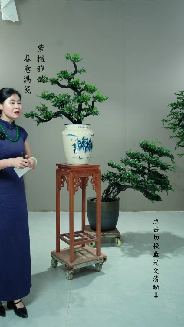 无花朵一****聊桌面款