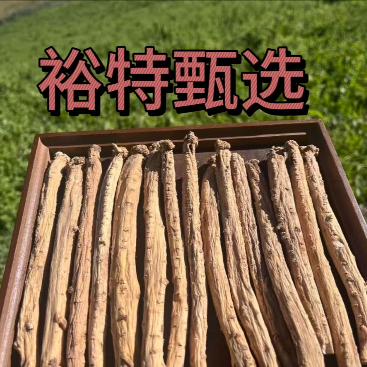 甘肃直发新鲜党参大条新货正宗煲汤料可切片搭配枸杞