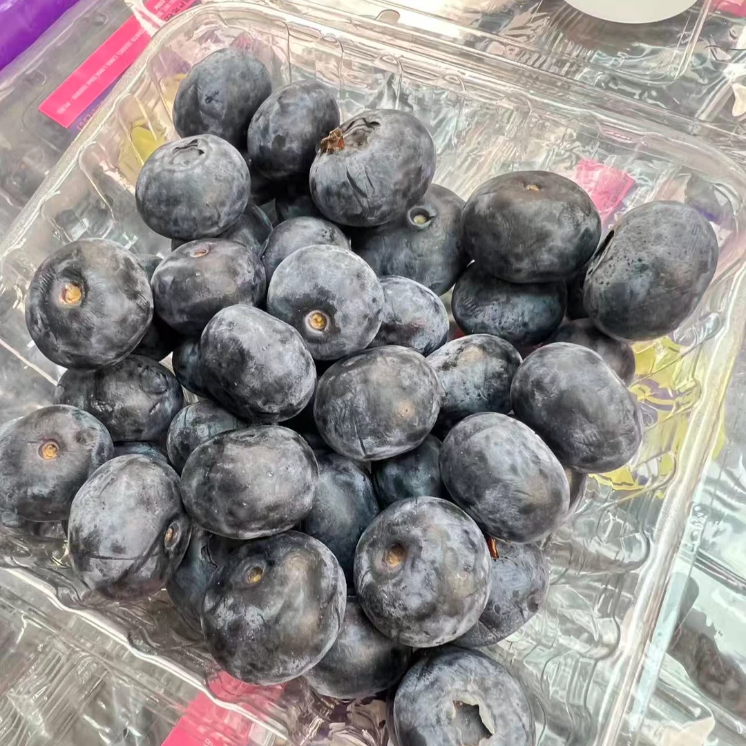 蓝莓·秘鲁进口季节限定Bianca蓝莓孕妇花青素125g/盒