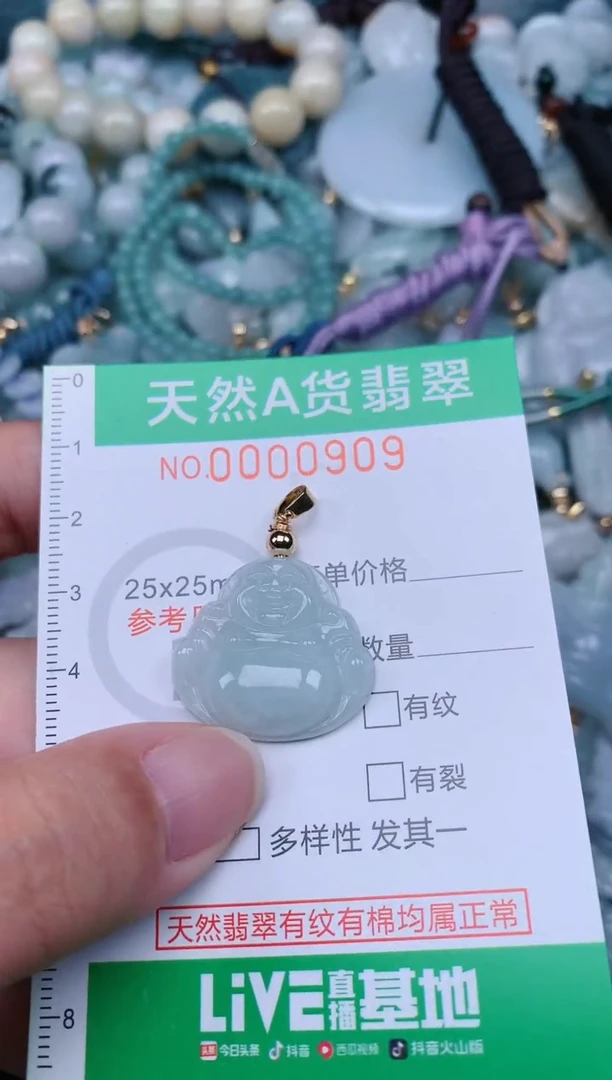 翡翠未镶嵌颈饰.0000909