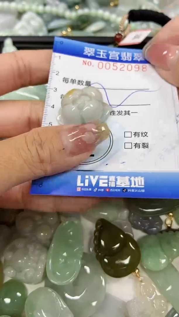 【闪购商品】翡翠颈饰未镶嵌闪购0052098