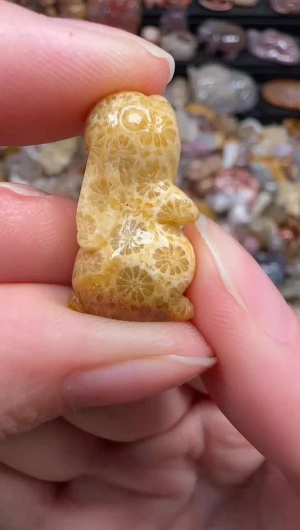 颈饰未镶嵌硅化珊瑚（珊瑚玉）338