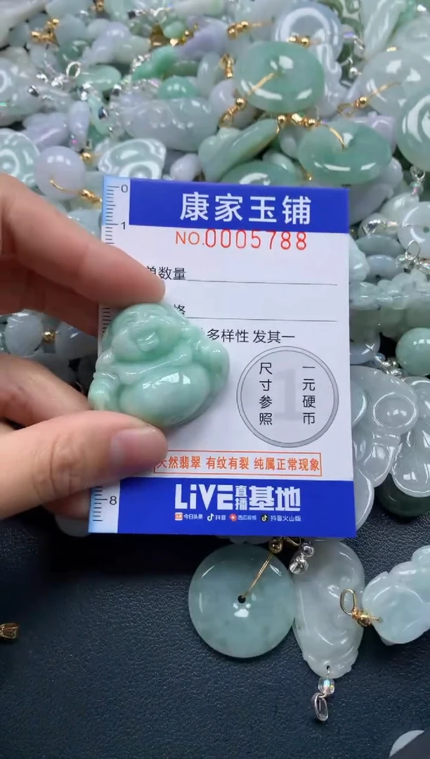 颈饰未镶嵌翡翠5788